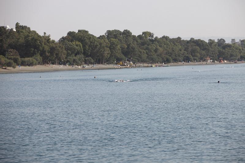 Comen Cup 2009 478.jpg